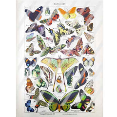 Vintage Elements 585 Butterflies Collage Sheet