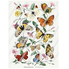 Vintage Elements 584 Butterflies Collage Sheet