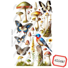 Cut and Paste 7 Collage Sheet Save 40%