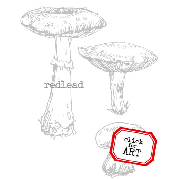 Autumn Mushrooms Rubber Stamp Save 20%