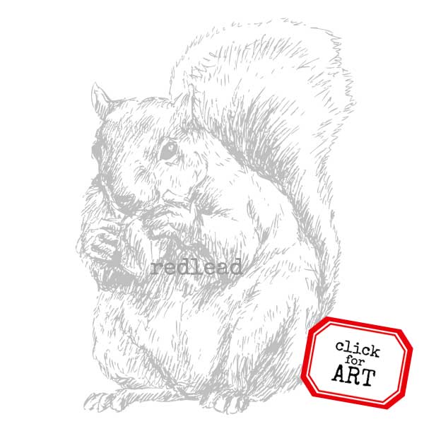 Sketchy the Squirrel Rubber Stamp Save 20%