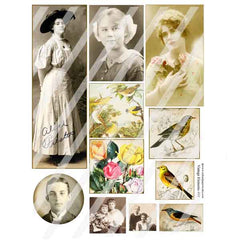 Vintage Photos Flowers Birds Collage Sheet