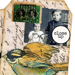 Bird in Flight Rubber Stamp