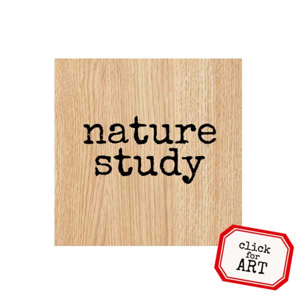 Nature Study Wood Mount Rubber Stamp