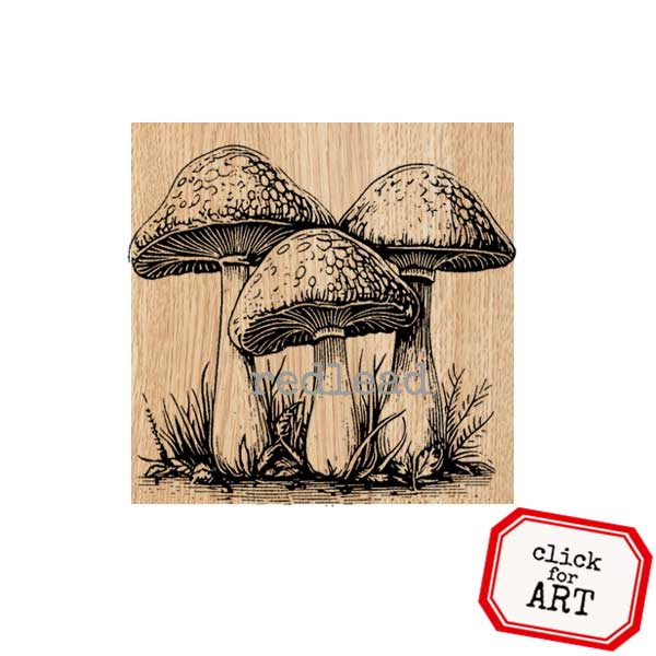 Wood Mount 3 Mushrooms Rubber Stamp Save 20%