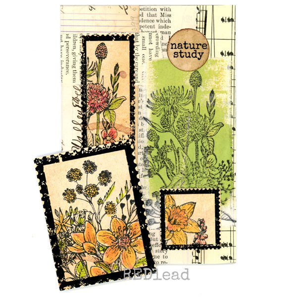 Kids: Stamp Garden Rubber Stamp Set – The Gardener Store